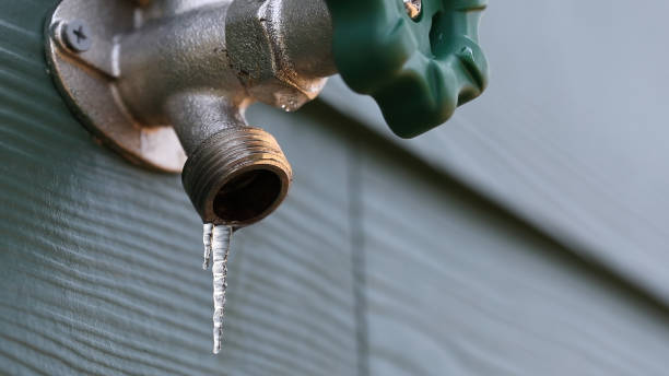 Best Drain Cleaning Services  in Munfordville, KY